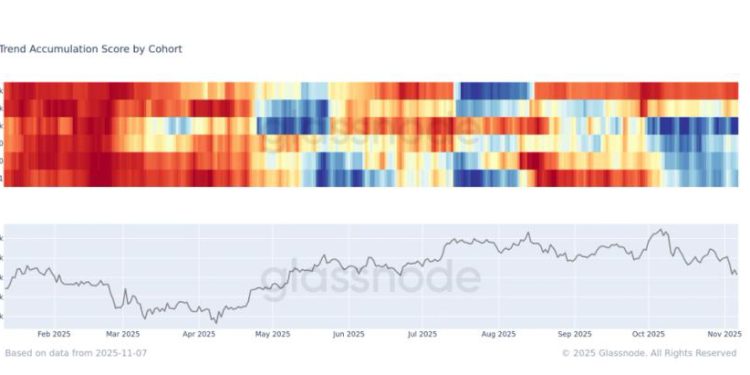 Whales Dump While the Rest Accumulate
