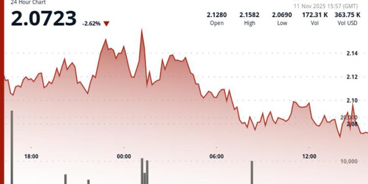 Toncoin (TON) Price Drops to Key $2.07 Support Level as Selling Pressure Builds