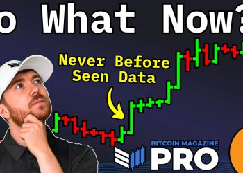 This Bitcoin Price Cycle Data Reveals Next Major Bull Run