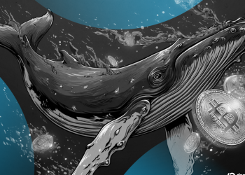 ‘We Fucked Up’: MEXC Exec Promises Changes After Blowup Over Frozen Crypto Millions