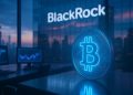 BlackRock doubles down on Bitcoin’s future amid price stagnation