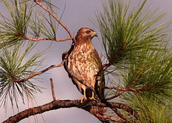 Jerome Powell and the Fed Have New Bearish Jobs Data to Mull