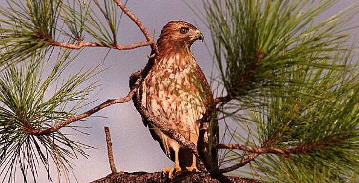 Jerome Powell and the Fed Have New Bearish Jobs Data to Mull