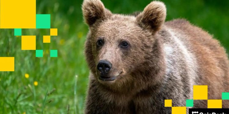 ‘Extremely Bearish:’ Is $91K New Bitcoin Price Target?