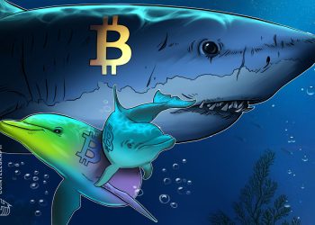 Bitcoin Sharks Accumulate at Fastest Pace Since 2012 as BTC Slides