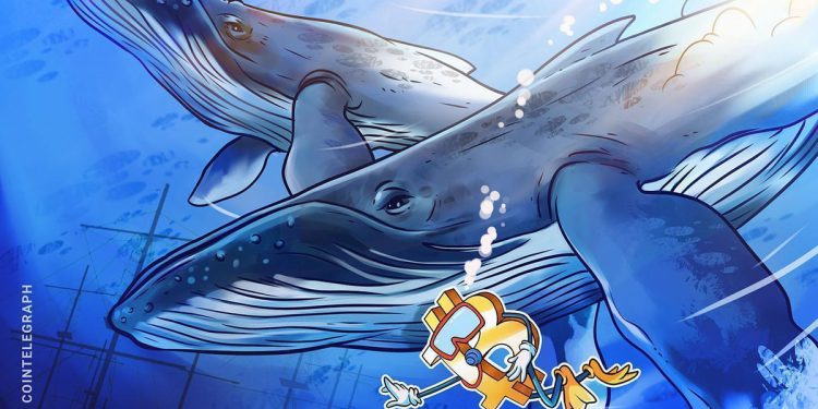 BTC Market Evolves As ‘New Whales’ Take 50% Dominance