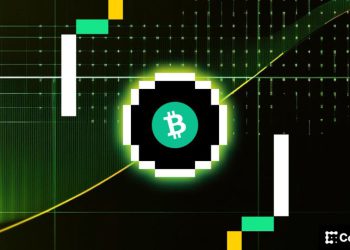 Bitcoin (BTC) Price’s Volatility Meltdown: Crypto Daybook Americas