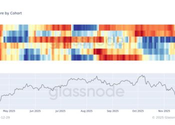 Large bitcoin holders have been the main buyers in the $80,000 range