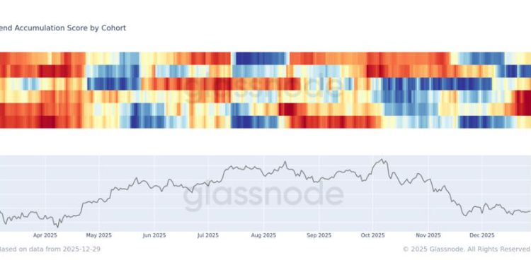 Large bitcoin holders have been the main buyers in the $80,000 range