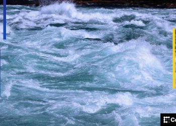 Volatility in Ripple-Linked XRP and solana was twice as bumpy as bitcoin’s in 2025