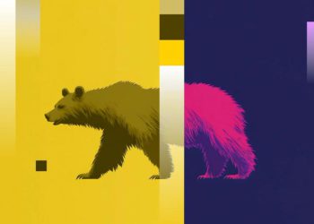 Cardano-based NIGHT crashes, ZEC, XMR also drop