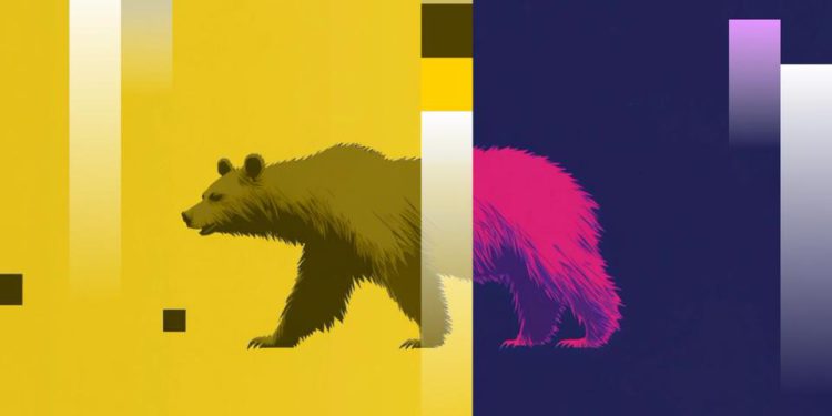 Cardano-based NIGHT crashes, ZEC, XMR also drop