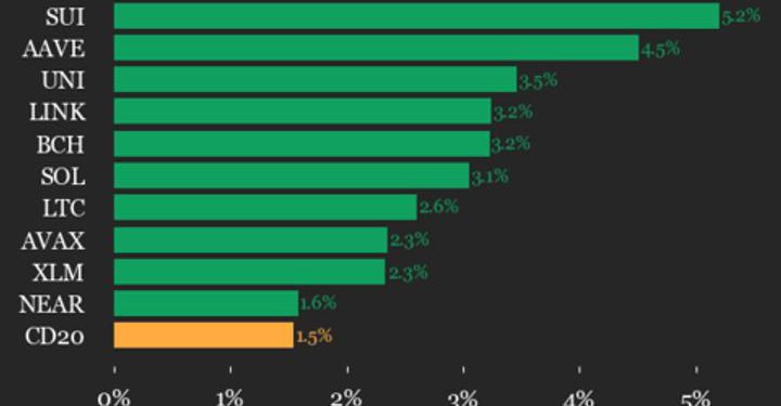 SUI Gains 5.2%, Leading the Index Higher