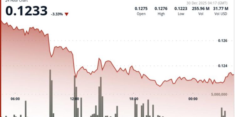 Dogecoin breaks support as year-end selling drags DOGE to $0.123