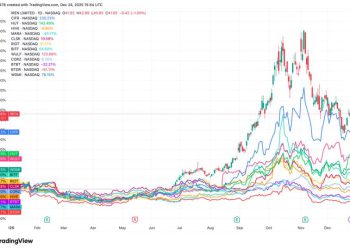 Winners and laggards emerge as IREN leads and BTDR falls behind