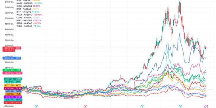 Winners and laggards emerge as IREN leads and BTDR falls behind