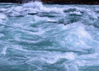 BTC gives up early Monday gains, falling back below $88,000