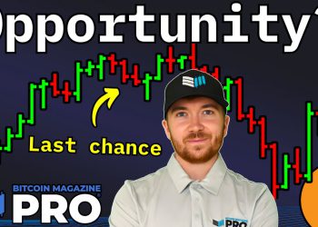 Bitcoin Treasury Companies Are Undervalued