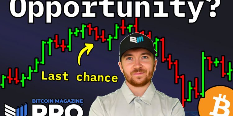 Bitcoin Treasury Companies Are Undervalued