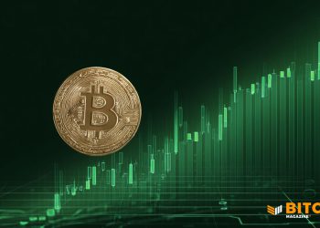 Despite Being Volatile, Bitcoin Is Looking Strong