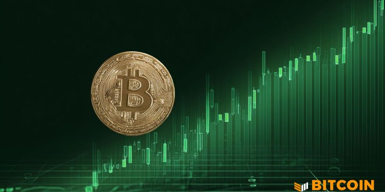 Despite Being Volatile, Bitcoin Is Looking Strong