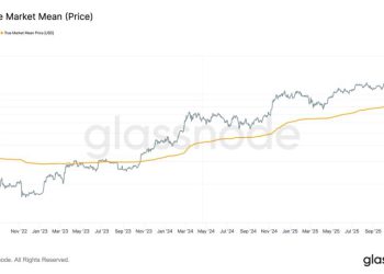 These Three Metrics Show BTC Found Strong Support Near $80,000