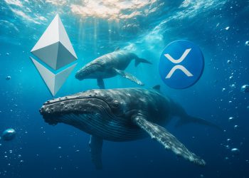 While Ethereum whales rotate, XRP data shows a fatal concentration flaw that leaves one group holding the bag.