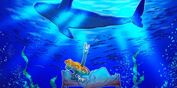 Bitcoin Whales Drop BTC Longs in New Bull Signal