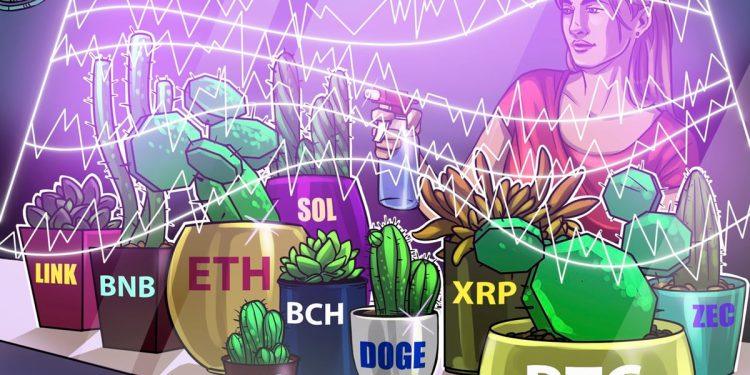 Price predictions 1/2: BTC, ETH, BNB, XRP, SOL, DOGE, ADA, BCH, LINK, ZEC
