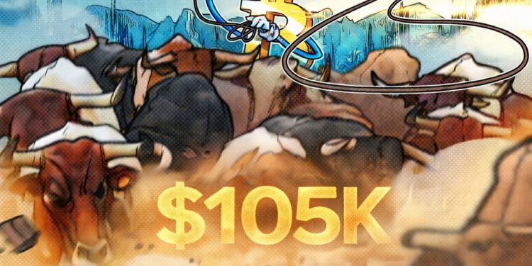 Bitcoin Can Hit $105,000 in Weeks Based on RSI Signals, Says Trader