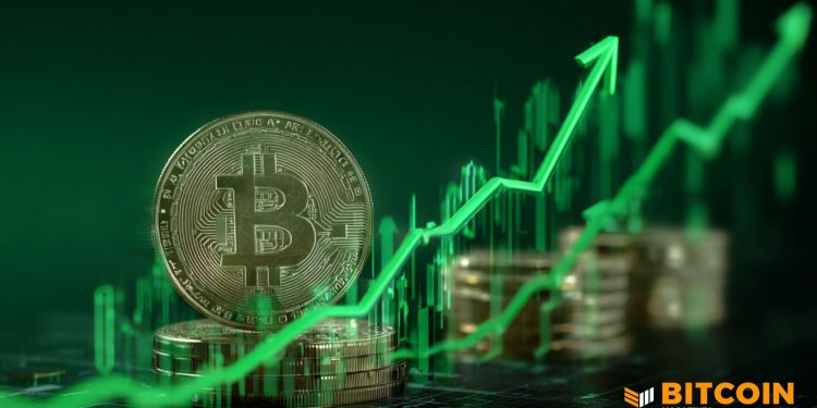 Bitcoin Holds $92,000 As Analysts See Market Bottom