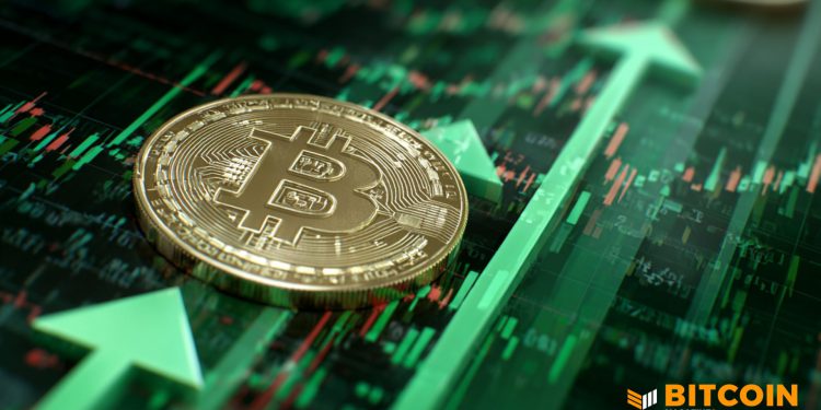 Bitcoin Price Fell In 2025, But Lows Show A Strong Floor