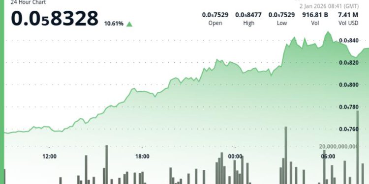 BONK jumps more than 10% as momentum pushes price higher