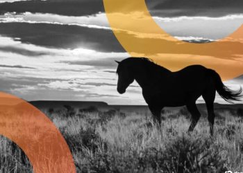Wyoming’s ‘Frontier’ Stablecoin Debuts—Will It Offer Yield?