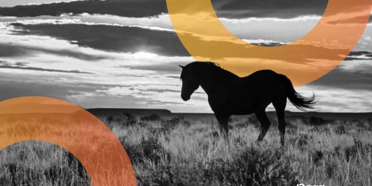 Wyoming’s ‘Frontier’ Stablecoin Debuts—Will It Offer Yield?